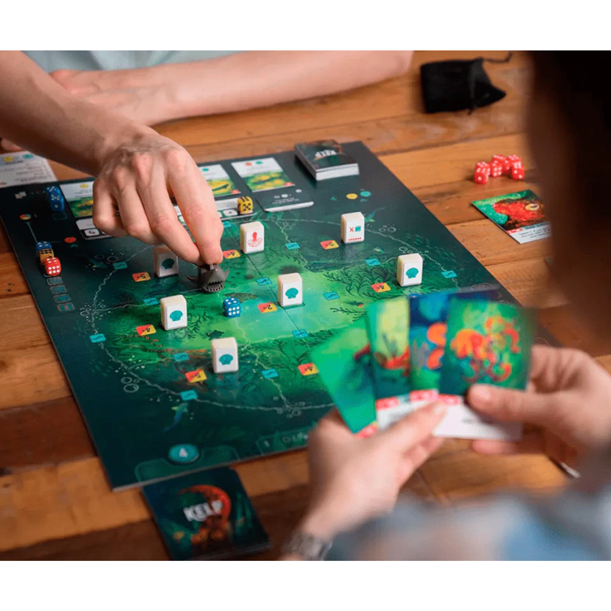 Kelp: Pulpo vs Tiburón