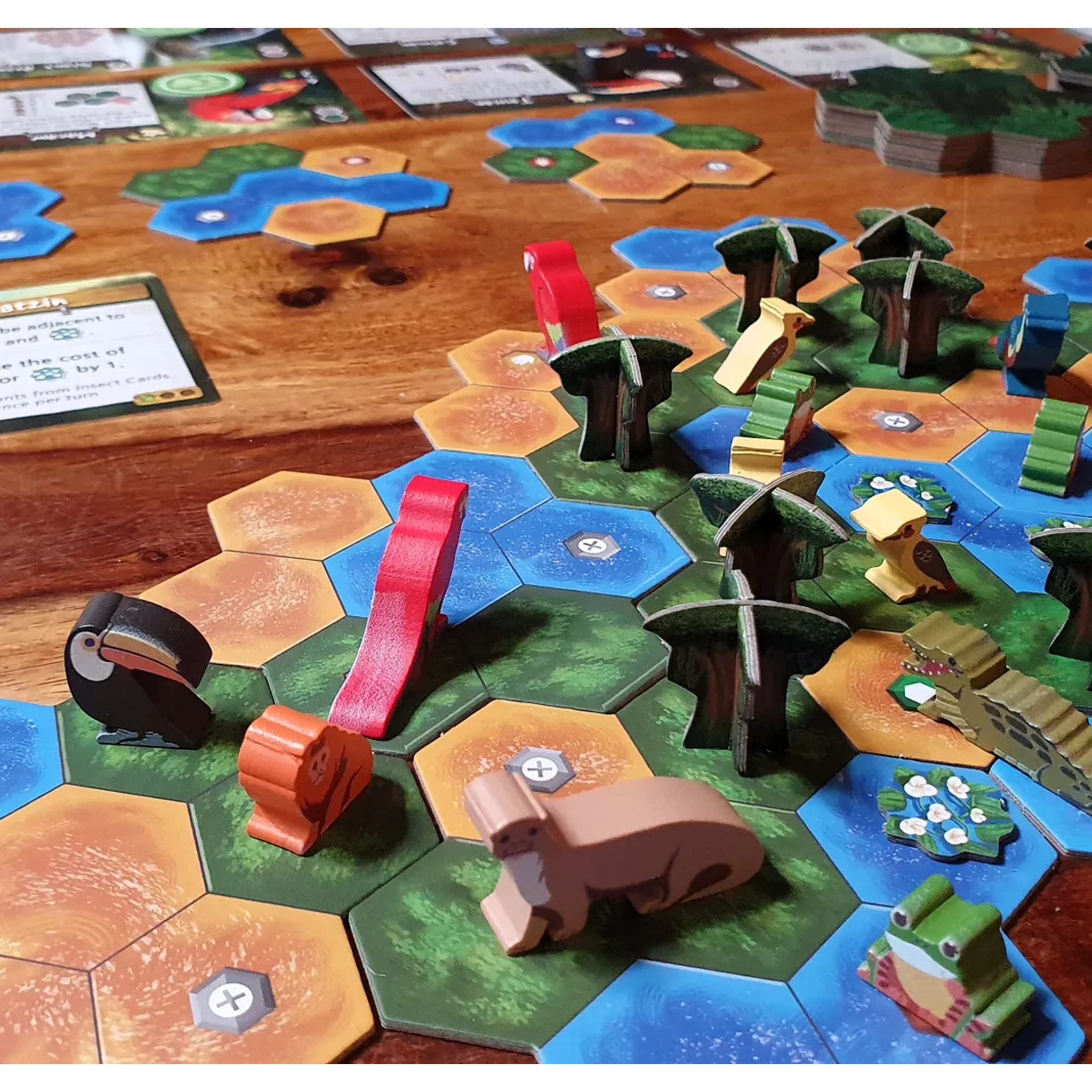 Life of the Amazonia