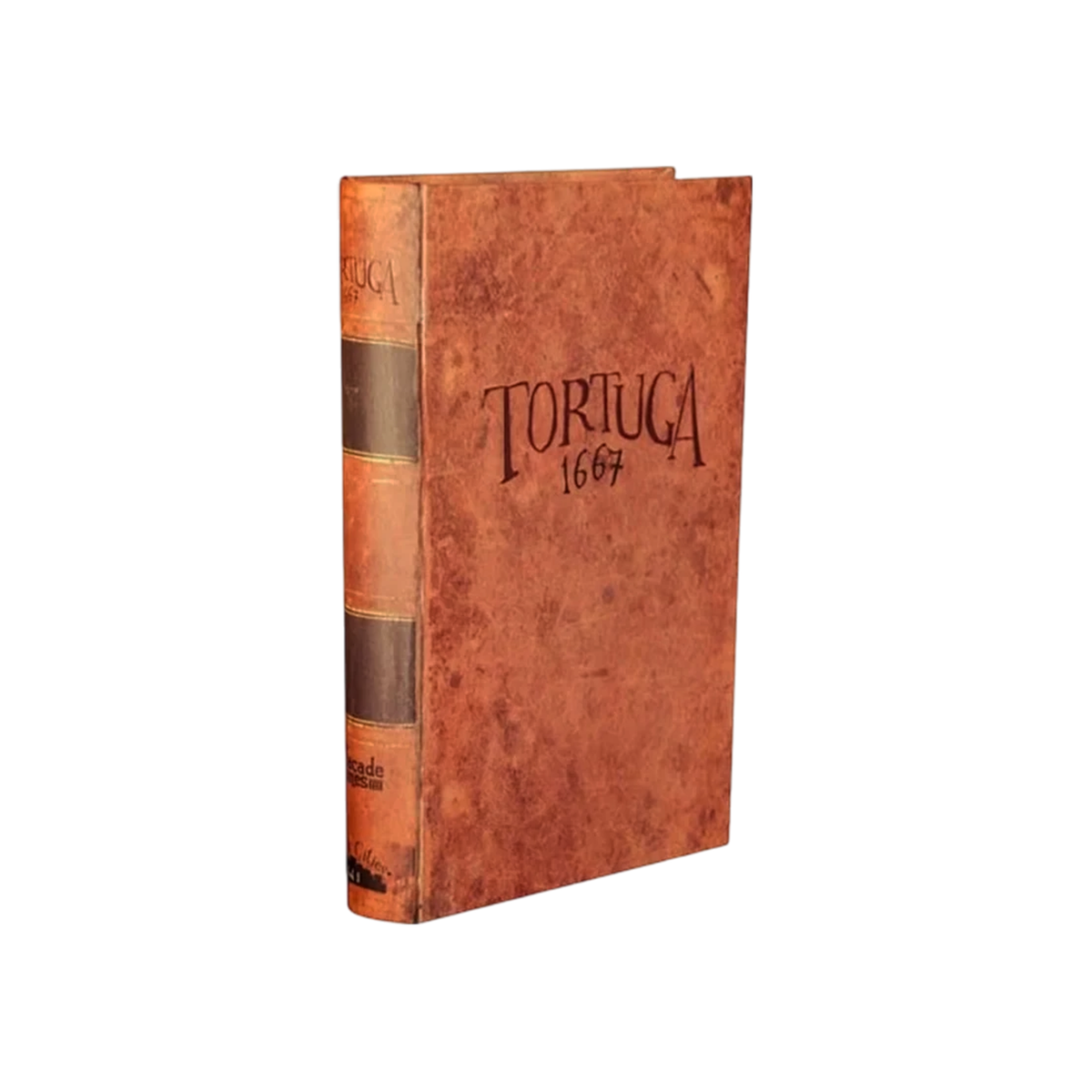 Tortuga 1667