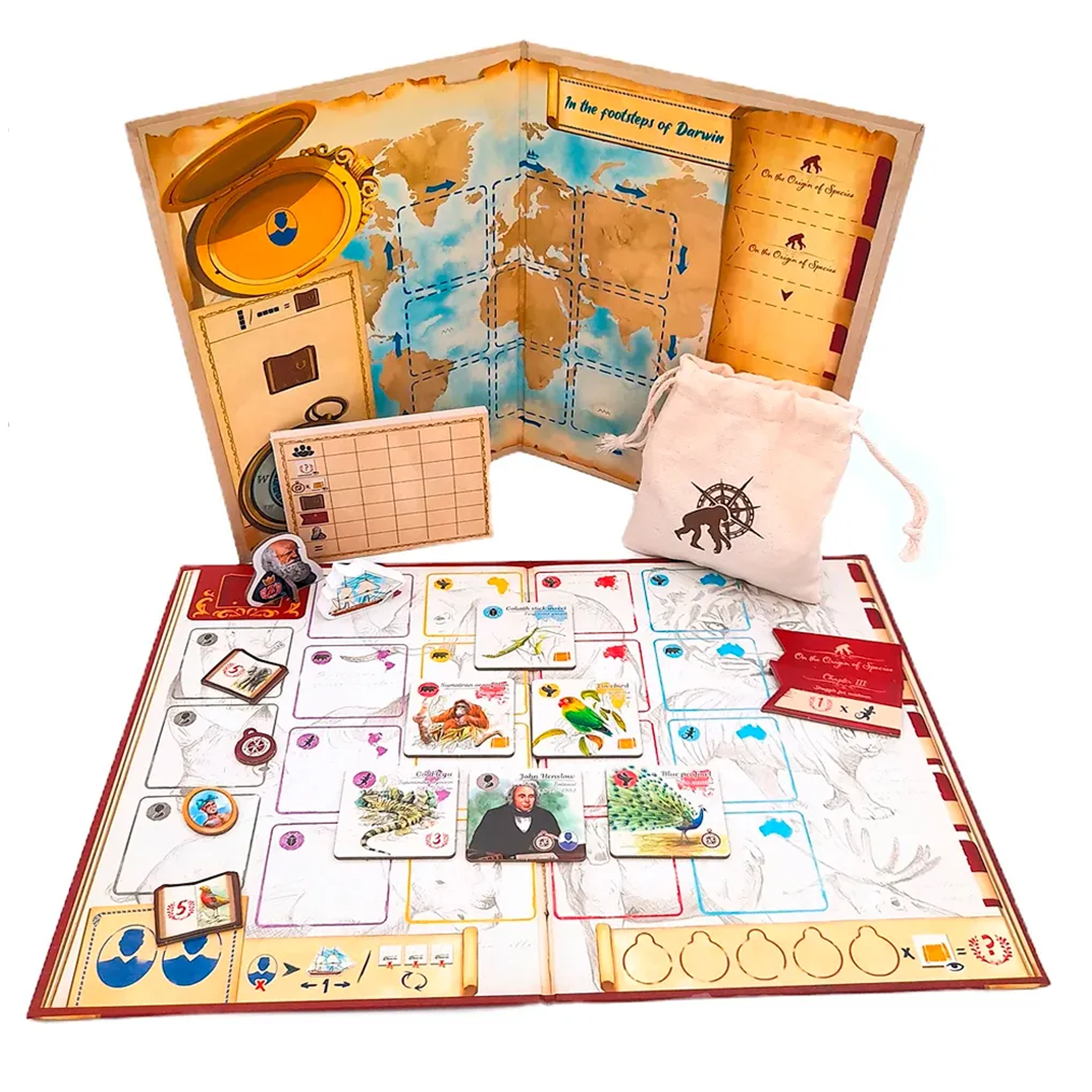 Tras los Pasos de Darwin