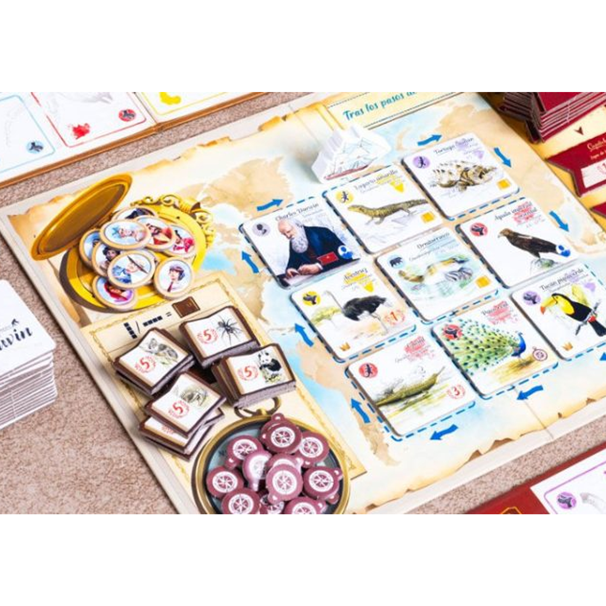 Tras los Pasos de Darwin